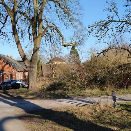 Zentrumsnahes Wohnen In Der Alten Schule Am