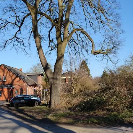 Zentrumsnahes Wohnen In Der Alten Schule Am アパート